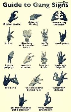 a poster with different types of hand gestures