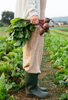 a person standing in a field holding some vegetables