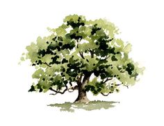 a watercolor painting of a tree with green leaves