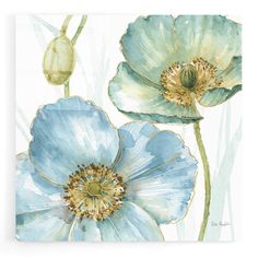 two blue flowers on a white background