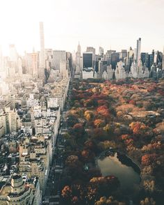 an aerial view of new york city's central park in the fall with lots of trees