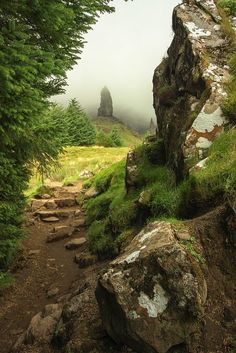 a rocky path with trees on both sides and fog in the air behind it, surrounded by grass and rocks