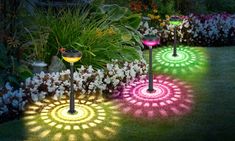 garden lights in the shape of circles on grass with flowers and plants around them at night