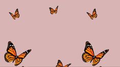 a group of butterflies flying in the air on a pink background with black and white border