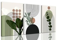 three canvases with plants and circles on them