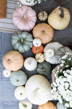 pumpkins and gourds are arranged on the ground