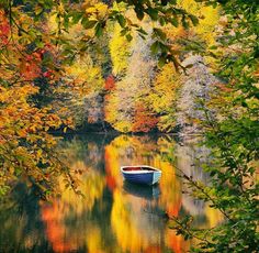 a small boat floating on top of a lake surrounded by autumn foliage and trees in the background