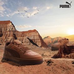 a pair of brown shoes sitting on top of a dirt field next to mountains and birds flying in the sky