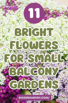 Ready to bring life and color to your small balcony? Explore these 11 flowering plants that will turn any tiny space into a beautiful retreat. Dive into the full article and follow us for more amazing gardening tips! Tiny Balcony