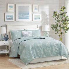 a bedroom with white walls and blue bedding in the corner, along with pictures on the wall