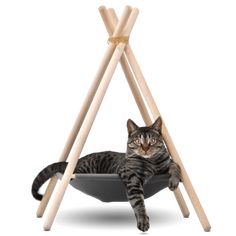 a cat laying in a bowl on top of wooden poles