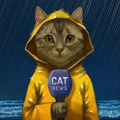 a cat in a raincoat holding a microphone