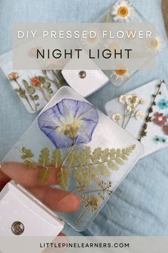 someone is holding some pressed flowers in their hand and the text reads diy pressed flower night light