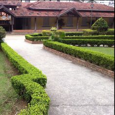 a large house with hedges in front of it