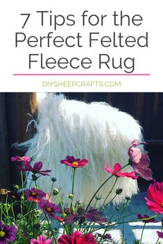 a white fluffy dog with pink flowers in the foreground and text overlay that reads 7 tips for the perfect felted fleece rug