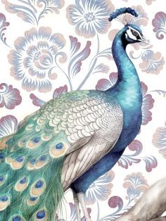 a peacock standing on top of a tree branch next to a wallpaper covered in flowers