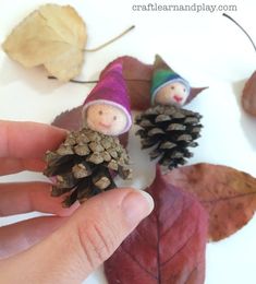 a hand is holding some pine cones and two small gnomes