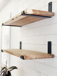 two wooden shelves on the wall above a potted plant