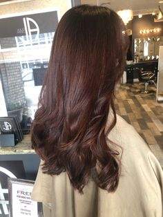 Reddish Burgundy Hair, Reddish Tint Hair Dark Brown, Brown Hair With Burgundy Tint, Dark Red Chestnut Hair, Chocolate Brown Reddish Hair, Reddish Brownish Hair, Brownish Maroon Hair, Brown Hair With Hints Of Red, Plum Brown Hair Color With Highlights