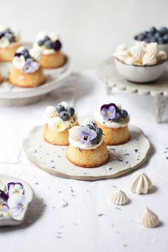 small pastries with blueberries and purple pansies on them are displayed on plates