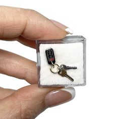 a person holding a key in a tiny box