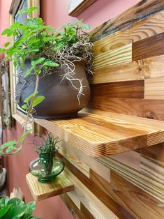 a potted plant sitting on top of a wooden shelf