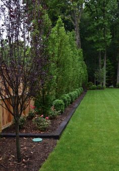 a green yard with trees and grass