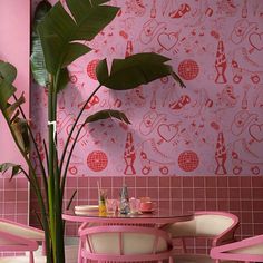 a pink dining room with two chairs and a potted plant in the corner on the table