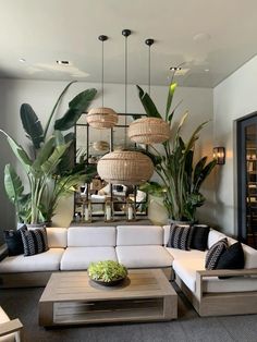 a living room filled with lots of furniture next to tall plant life hanging from the ceiling