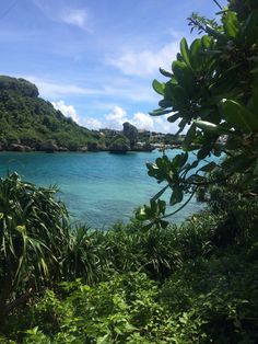 the blue water is surrounded by lush vegetation