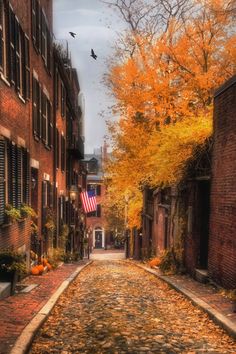 an alley way with brick buildings and autumn leaves on the ground in front of it