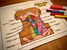 a diagram of the human body on top of a piece of paper next to crayons