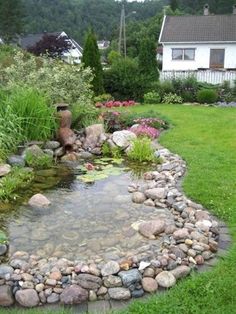 there is a small pond in the yard