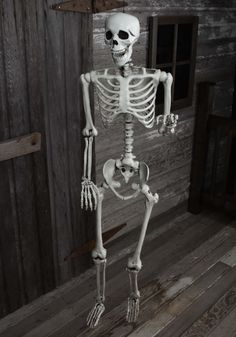 a skeleton standing in front of a wooden wall