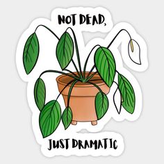 a potted plant with the words not dead, just dramatic