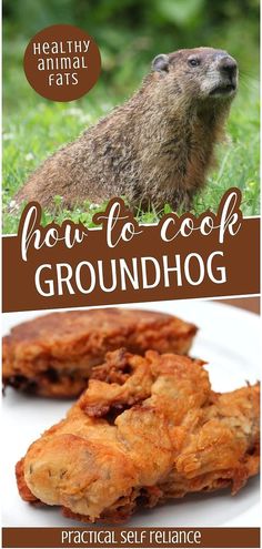 a groundhog is shown with the words how to cook groundhog