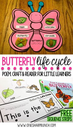 butterfly life cycle craft and printables for kids to use in the classroom or at home