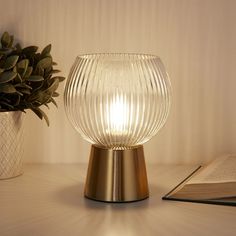 a glass lamp sitting on top of a table next to a book and potted plant