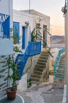 an alleyway with blue stairs and potted plants on the side, in front of a white building