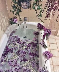 the bathtub is filled with purple flowers