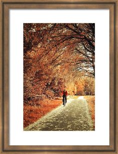 a person riding a bike down a dirt road in the fall with trees lining both sides