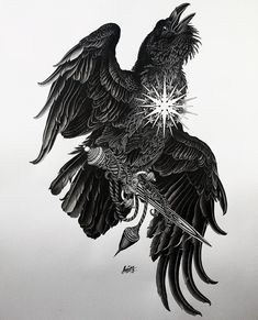 Manticore Tattoo, Indian Ink Art, Alexander Grim, Black Bird Tattoo, Crow Tattoo, Raven Tattoo, Crow Art, Black Birds