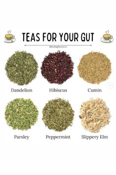 teas for your gutt poster with different types of herbs and spices in them