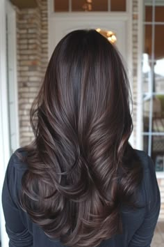 Brunette Hair Shades Color Charts, Brown Low Lights Brunettes Dark Hair, 2024 Brunette Hair Color, Mocha Hair Colors, Dark Rich Brown Hair Color, Whisper Brunette, Hair Colour For Dark Skin Tones, Dark Brown Hair Cool Tones, No Bleach Hair Color For Dark Hair