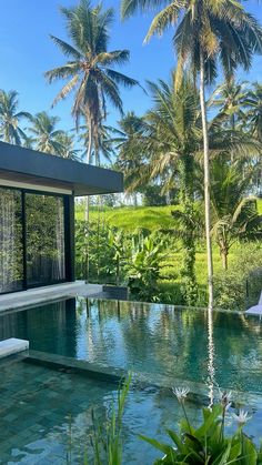 an outdoor swimming pool surrounded by palm trees