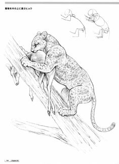 a drawing of a leopard on a tree branch with another animal in the back ground