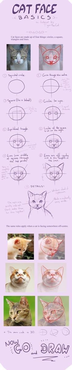 the instructions for how to make cat - face bowls