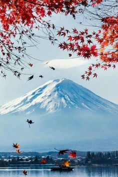 a boat is on the water in front of a snow covered mountain with autumn leaves