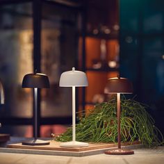 two lamps sitting on top of a wooden table