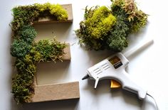 some moss and glue sitting on top of a white table next to letter shaped like letters